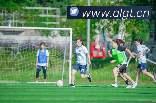 星空官网免费入口平台生态图