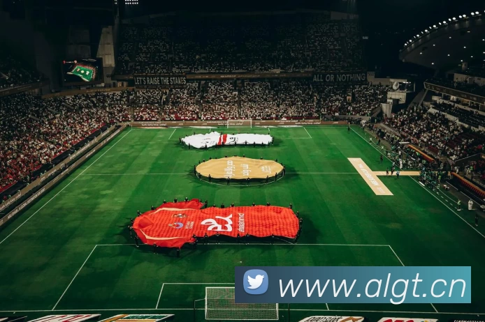 星空官网免费入口APP 封面图